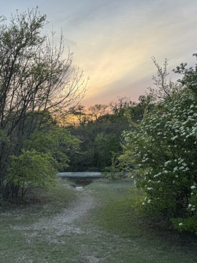 Caddo Trail - Frisco, TX