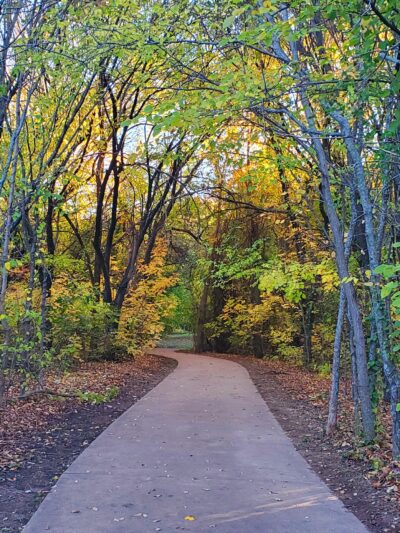 Frisco Commons Park Meadow - Frisco, TX