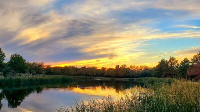 Frisco Commons Park Meadow - Frisco, TX