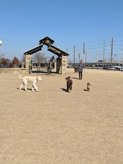 Ruff Range Dog Park - Frisco, TX