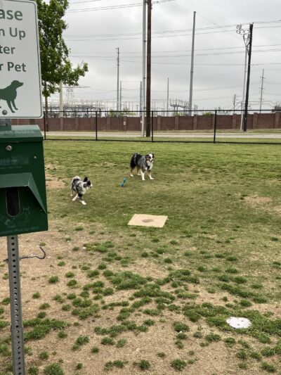 Ruff Range Dog Park - Frisco, TX
