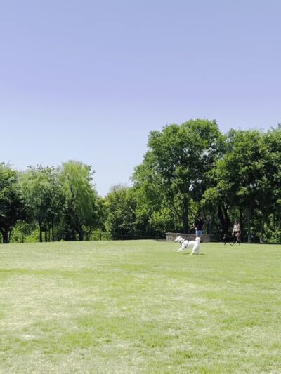 Ruff Range Dog Park - Frisco, TX