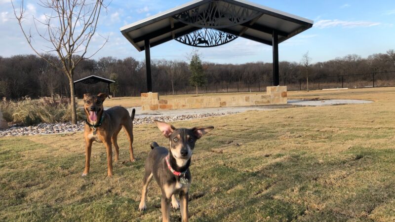 Wood Family Dog Park - Frisco, TX