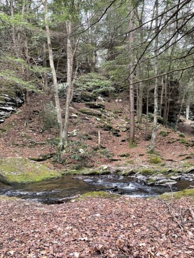 Sand Run Falls - Gaines, PA