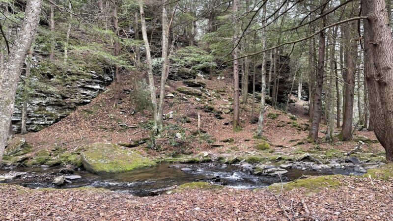 Sand Run Falls - Gaines, PA