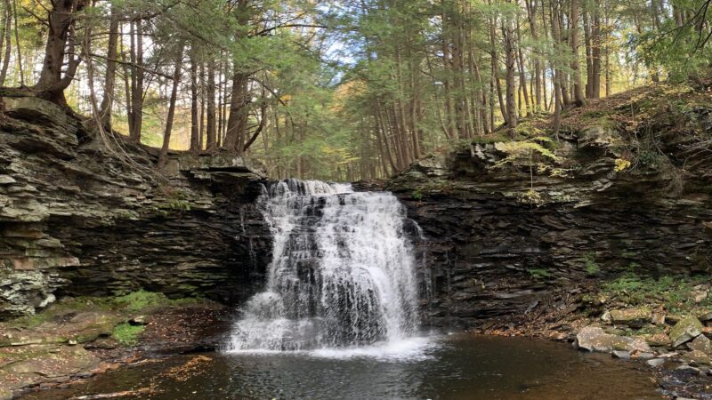 Sand Run Falls - Gaines, PA