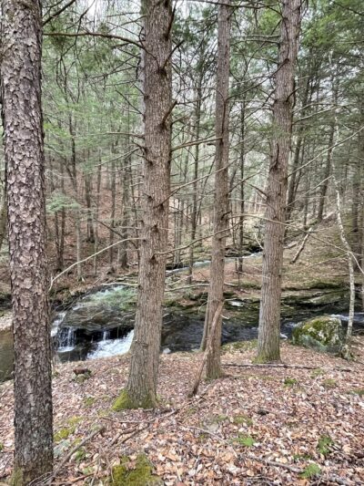 Sand Run Falls - Gaines, PA