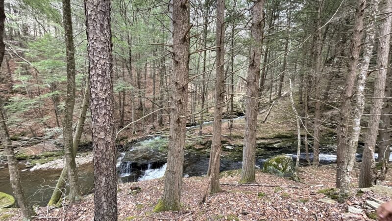 Sand Run Falls - Gaines, PA