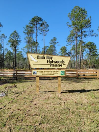 Buck Bay Flatwood Preserve - Gainesville, FL