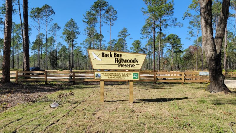 Buck Bay Flatwood Preserve - Gainesville, FL
