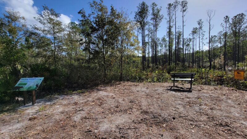 Buck Bay Flatwood Preserve - Gainesville, FL