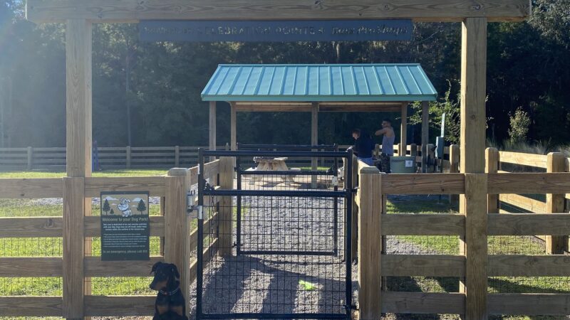 Celebration Pointe Dog Park - Gainesville, FL
