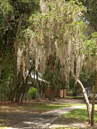 Pleasant Park - Gainesville, FL