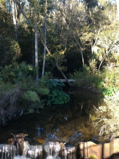 Possum Creek - Gainesville, FL