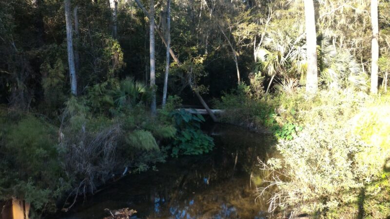Possum Creek - Gainesville, FL