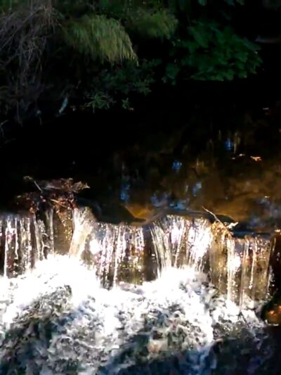 Possum Creek - Gainesville, FL