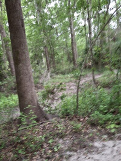 Possum Creek - Gainesville, FL
