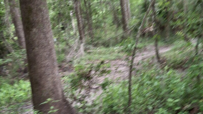 Possum Creek - Gainesville, FL