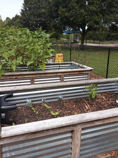 Possum Creek Dog Park - Gainesville, FL