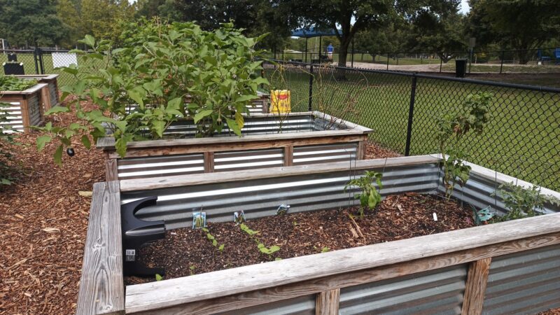 Possum Creek Dog Park - Gainesville, FL