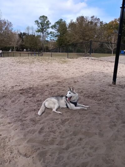 Possum Creek Dog Park - Gainesville, FL