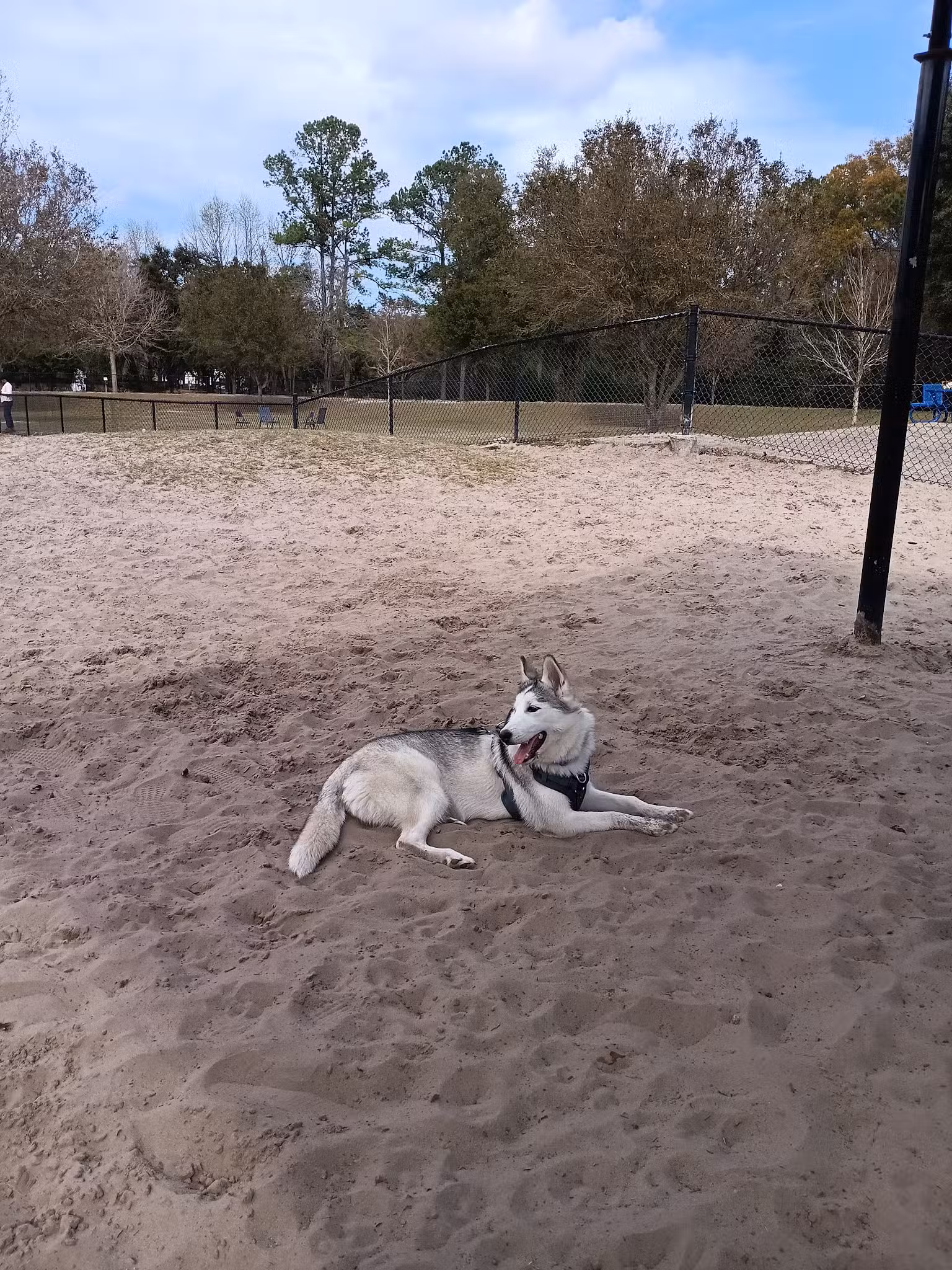 Possum Creek Dog Park - Gainesville, FL