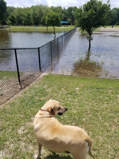 Possum Creek Park - Gainesville, FL