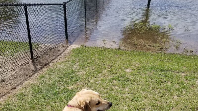 Possum Creek Park - Gainesville, FL