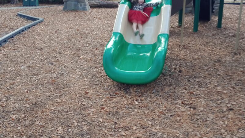 Smokey Bear Park - Gainesville, FL