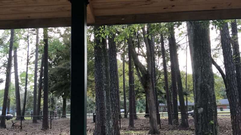 Smokey Bear Park - Gainesville, FL