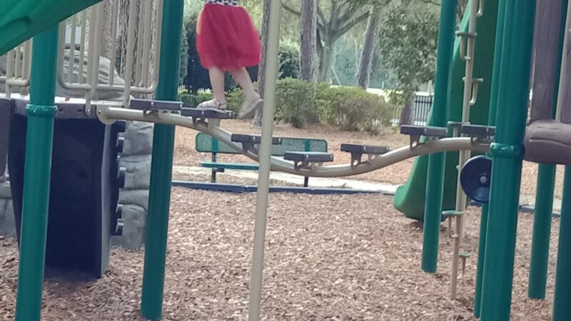Smokey Bear Park - Gainesville, FL