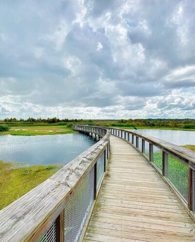 Sweetwater Wetlands Park - Gainesville, FL