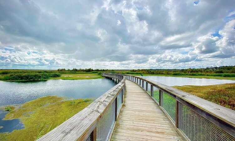 Sweetwater Wetlands Park - Gainesville, FL