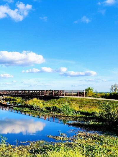 Sweetwater Wetlands Park - Gainesville, FL