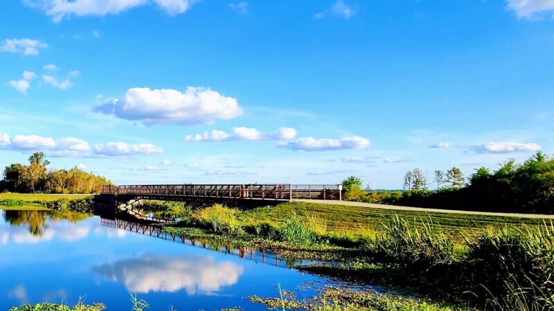 Sweetwater Wetlands Park - Gainesville, FL