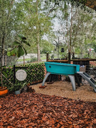 The Zoomie Zone [ BY APPOINTMENT ONLY] - Gainesville, FL