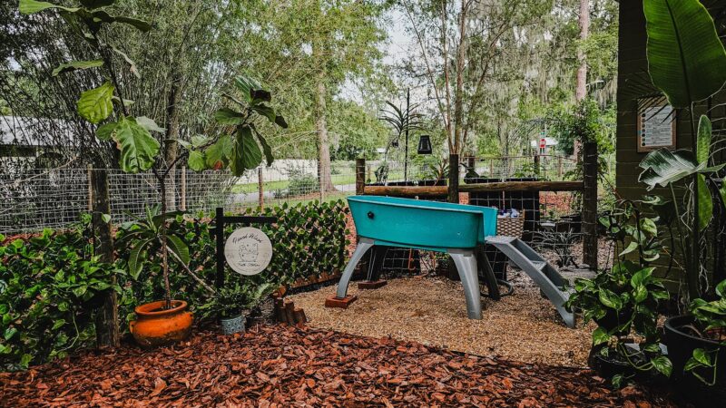 The Zoomie Zone [ BY APPOINTMENT ONLY] - Gainesville, FL