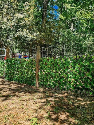 The Zoomie Zone [ BY APPOINTMENT ONLY] - Gainesville, FL