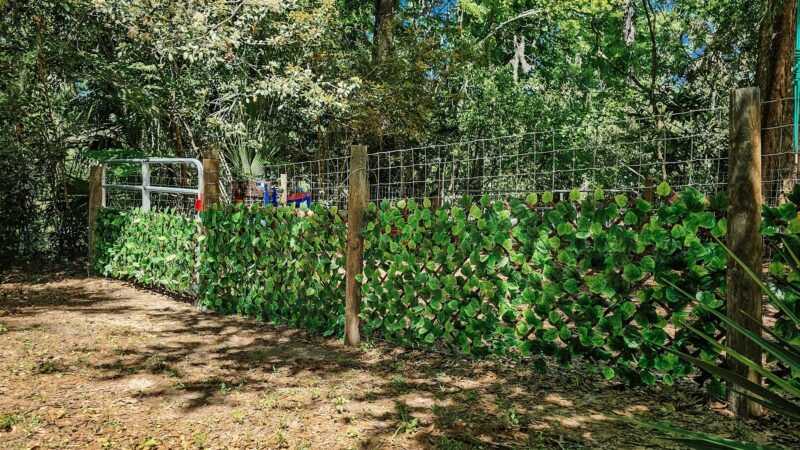 The Zoomie Zone [ BY APPOINTMENT ONLY] - Gainesville, FL