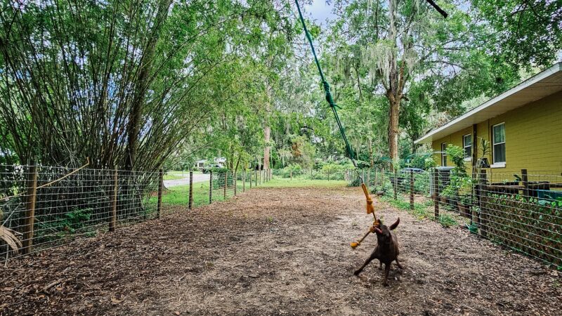 The Zoomie Zone [ BY APPOINTMENT ONLY] - Gainesville, FL