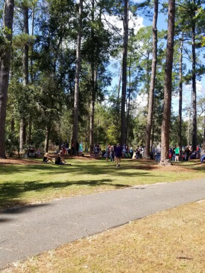 Tom Petty Park - Gainesville, FL