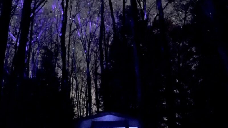 Lyman Run Lower Campgrounds - Galeton, PA