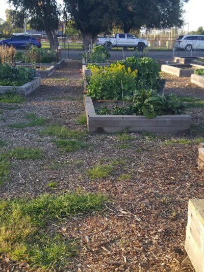 Harvey Park - Galt, CA