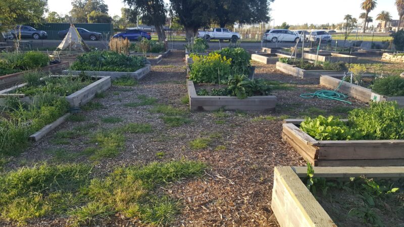 Harvey Park - Galt, CA