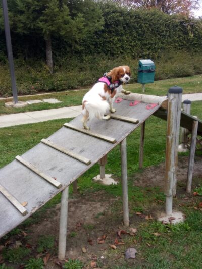 Monterey Park - Galt, CA