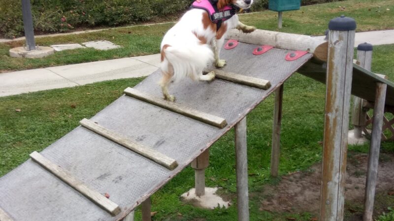 Monterey Park - Galt, CA