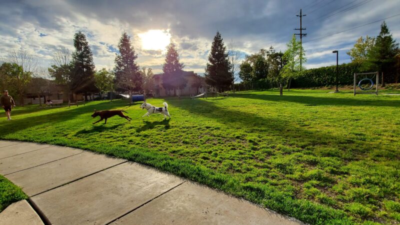 Monterey Park - Galt, CA