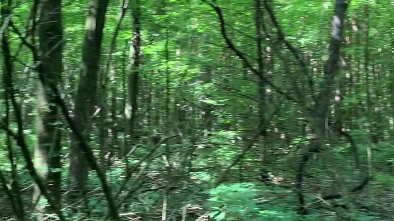 Galway Nature Preserve - Galway, NY