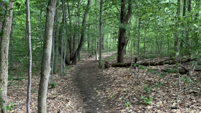 Galway Nature Preserve - Galway, NY