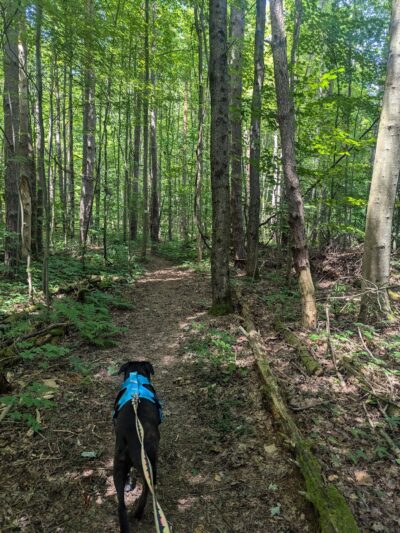 Galway Nature Preserve - Galway, NY
